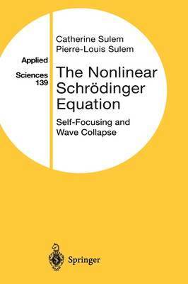 Catherine Sulem, Pierre-Louis Sulem - Nonlinear Schrödinger Equation, Inbunden