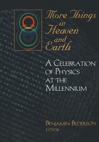 bokomslag More Things in Heaven and Earth: A Celebration of Physics at the Millenium