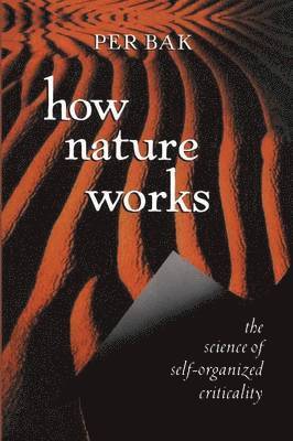 bokomslag How Nature Works: The Science of Self-Organized Criticality
