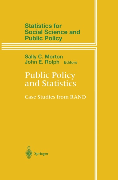 bokomslag Public Policy and Statistics