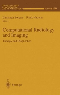 bokomslag Computational Radiology and Imaging