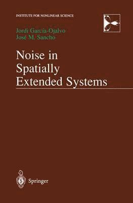 Noise in Spatially Extended Systems 1