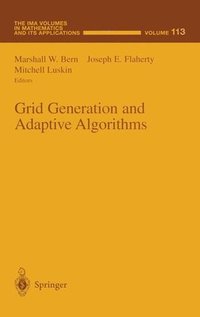 bokomslag Grid Generation and Adaptive Algorithm