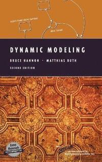 bokomslag Dynamic Modeling