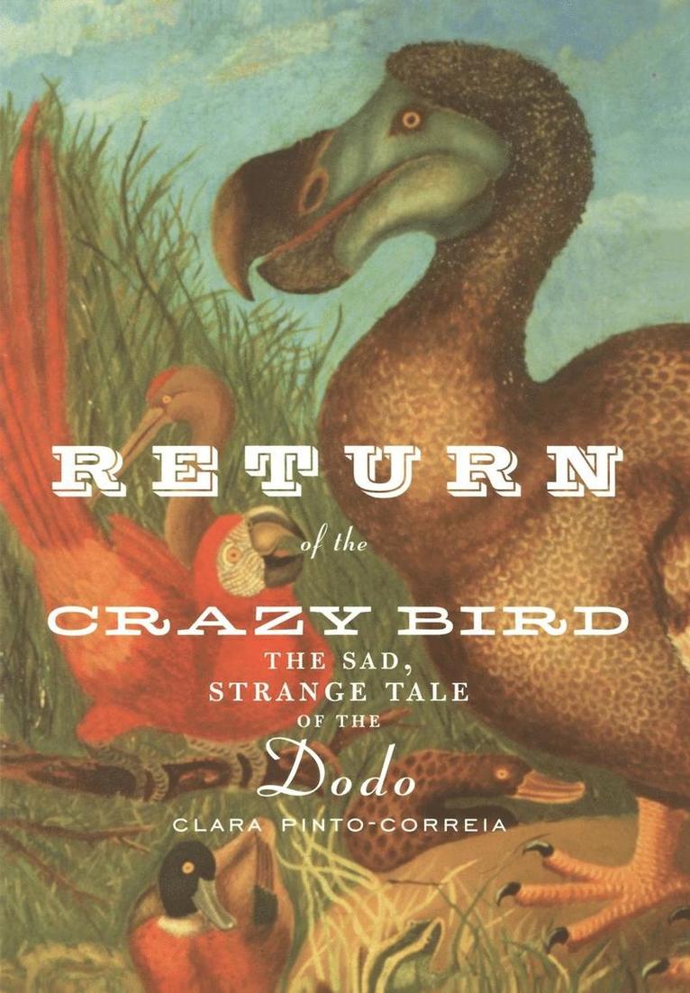 Return of the Crazy Bird 1