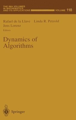 R. de La Llave, L. R. Petzold, Rafael De La Llave, etc., L.R. Petzold, J. Lorenz - Dynamics of Algorithms, Inbunden