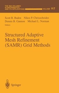 bokomslag Structured Adaptive Mesh Refinement (SAMR) Grid Methods