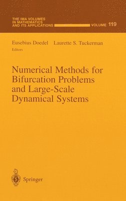 Eusebius Doedel, E. Doedel, Eusebius J. Doedel, Laurette S. Tuckermann, L.S. Tuckerman - Numerical Methods for Bifurcation Problems and Large-scale Dynamical Systems, Inbunden