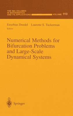 bokomslag Numerical Methods for Bifurcation Problems and Large-scale Dynamical Systems