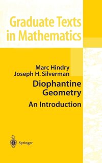 bokomslag Diophantine Geometry