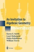 bokomslag An Invitation to Algebraic Geometry