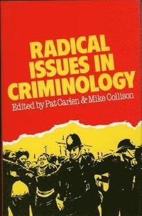 bokomslag Radical Issues in Criminology