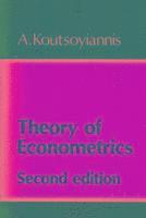 bokomslag Theory of Econometrics
