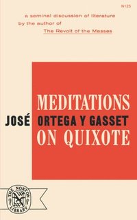 bokomslag Meditations on Quixote