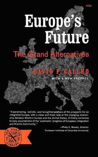 bokomslag Europe's Future: The Grand Alternatives