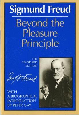 bokomslag Beyond The Pleasure Principle