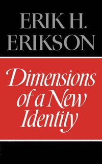 bokomslag Dimensions Of A New Identity