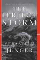 bokomslag The Perfect Storm