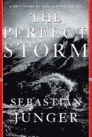 bokomslag Perfect Storm