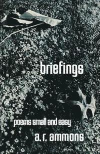 bokomslag Briefings: Poems Small and Easy