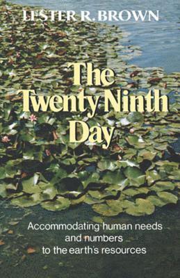 bokomslag The Twenty Ninth Day