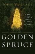 The Golden Spruce 1