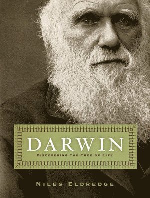 bokomslag Darwin