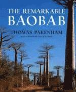 bokomslag The Remarkable Baobab