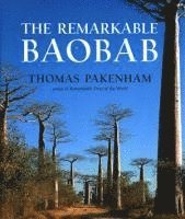 bokomslag The Remarkable Baobab