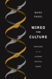 bokomslag Wired for Culture