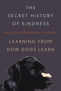 bokomslag Secret History of Kindness