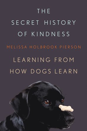 bokomslag Secret History of Kindness
