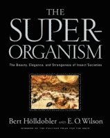 bokomslag The Superorganism