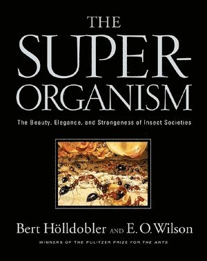 Bert Hölldobler, Edward O. Wilson, Bert Holldobler, Edward O. (Harvard University) Wilson - Superorganism, Inbunden