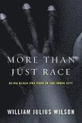 bokomslag More than Just Race