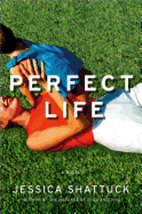 bokomslag Perfect Life