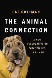bokomslag The Animal Connection