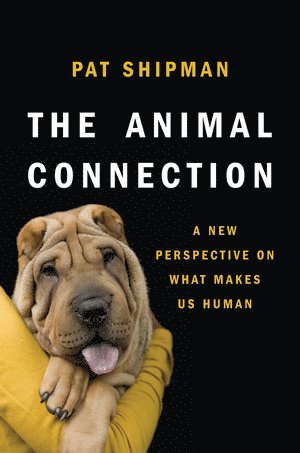bokomslag Animal Connection