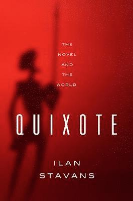 bokomslag Quixote