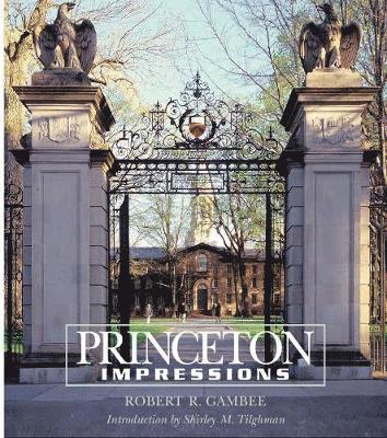 bokomslag Princeton Impressions