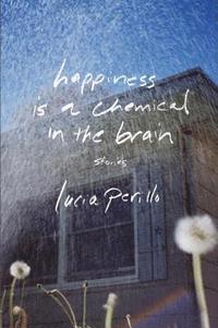 bokomslag Happiness Is a Chemical in the Brain - Stories