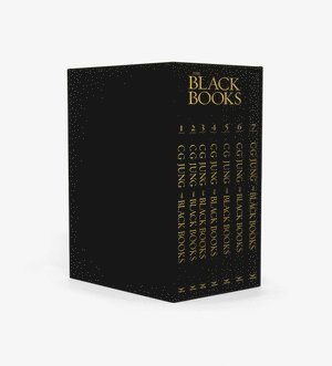 C. G. Jung, Sonu Shamdasani, Sonu (University College London) Shamdasani - Black Books, Inbunden