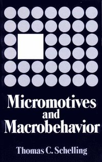 bokomslag Micromotives And Macrobehavior