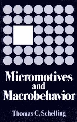 bokomslag Micromotives And Macrobehavior