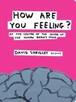 How Are You Feeling?: At the Centre of the Inside of the Human Brain's Mind