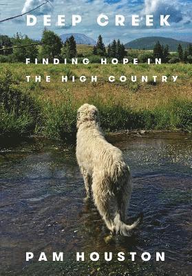 Pam Houston, Pam (University of California at Davis) Houston - Deep Creek, Inbunden