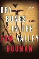 Dry Bones in the Valley 1