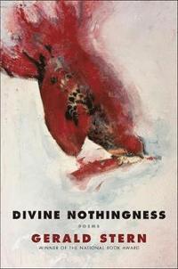 bokomslag Divine Nothingness