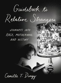 bokomslag Guidebook to Relative Strangers