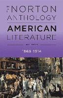 bokomslag The Norton Anthology of American Literature